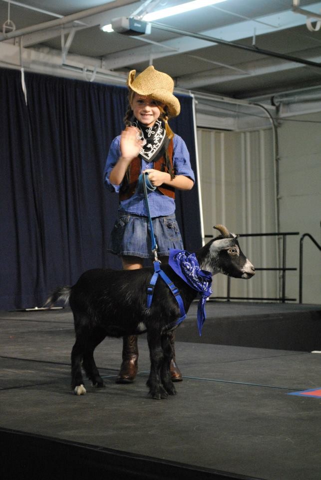 11800617_890504657696768_3834045411785416225_n