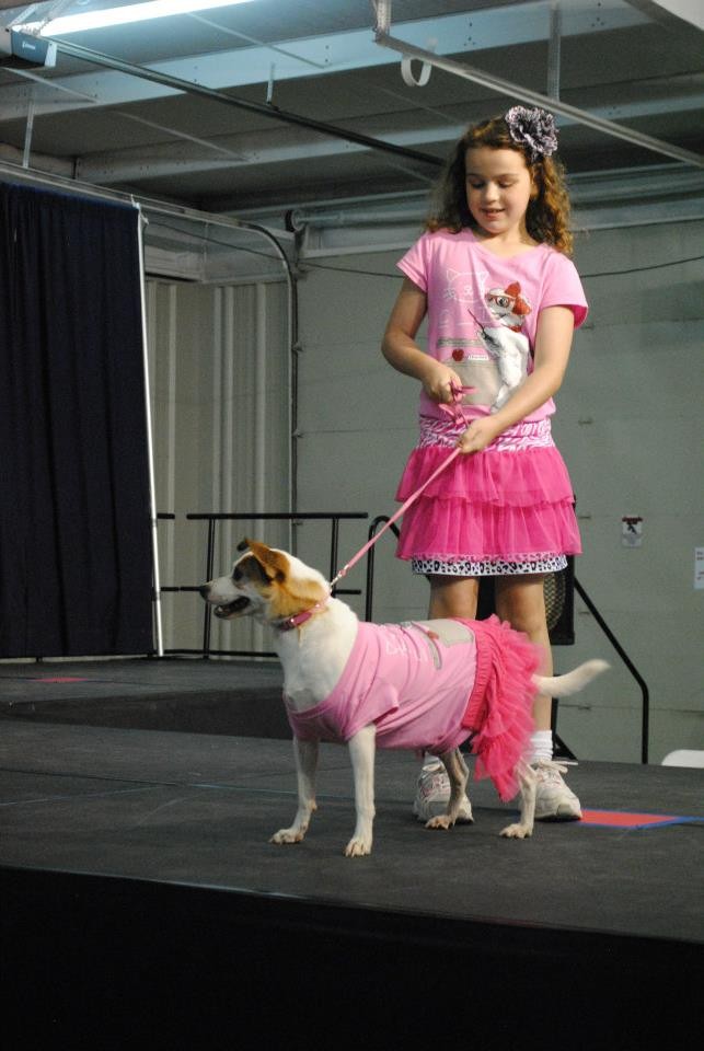 11811357_890504241030143_4450438336423736751_n